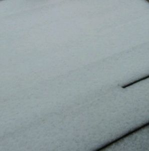 Meet your Posher, Daniela